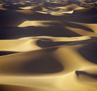 Desert