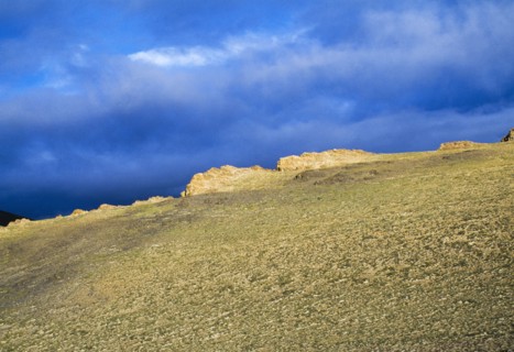 Tibet