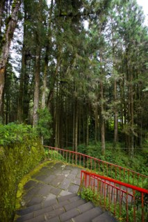 Taiwan, Ali, Botanical Garden,