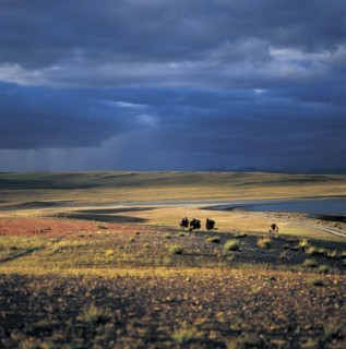 Tibet