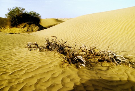 Xinjiang