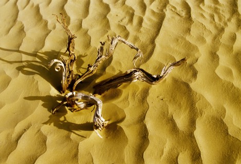 Xinjiang