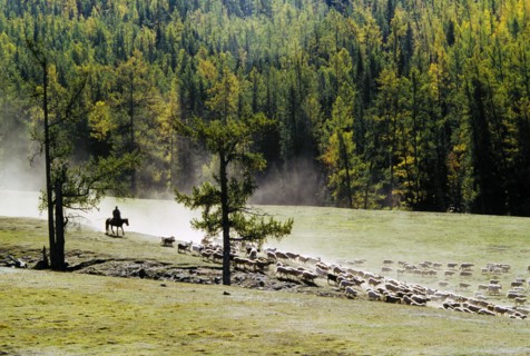 Xinjiang
