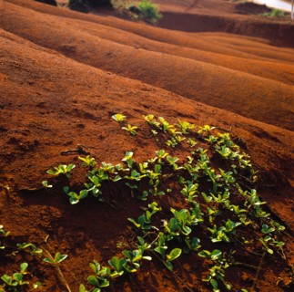 Land