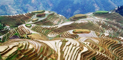 Guangxi