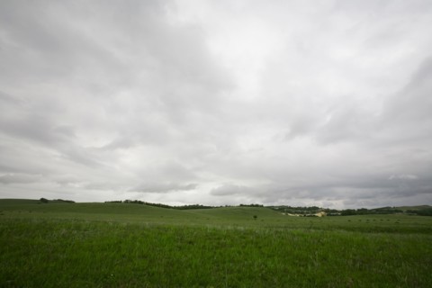 Bashang grassland in Inner Mongolia