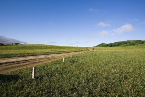 Bashang grassland in Inner Mongolia