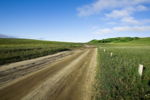 Bashang grassland in Inner Mongolia