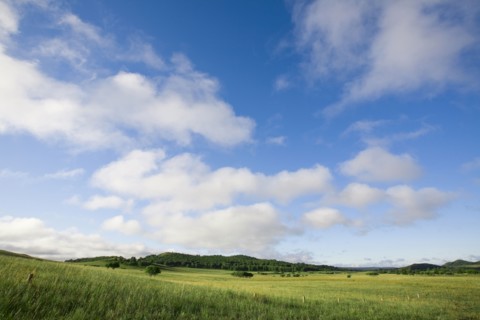 Bashang grassland in Inner Mongolia