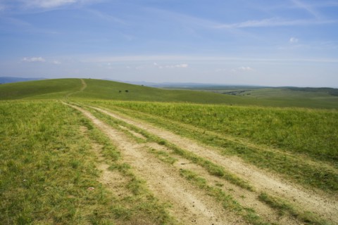Bashang grassland in Inner Mongolia