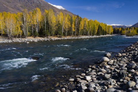 Xinjiang Province, Aletai,