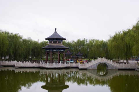 Gaomiao Zhongwei in Ningxia