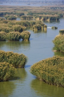 Yinchuan in Ningxia