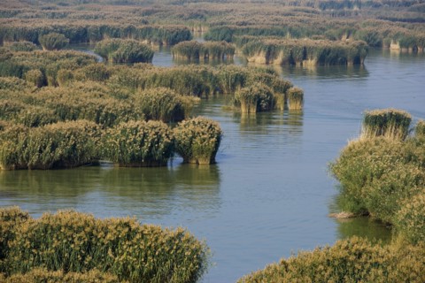 Yinchuan in Ningxia