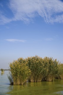 Yinchuan in Ningxia