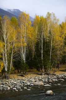 Xinjiang Province, Aletai,