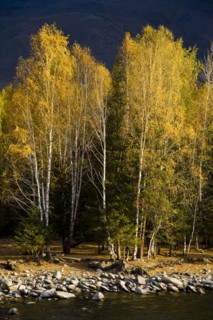 Xinjiang Province, Aletai,