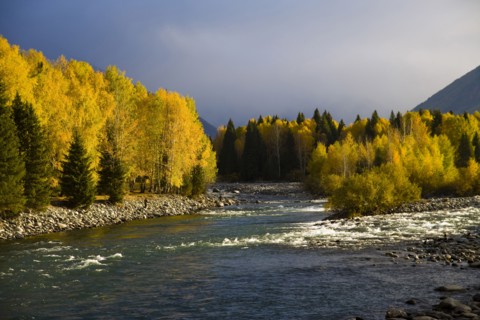 Xinjiang Province, Aletai,