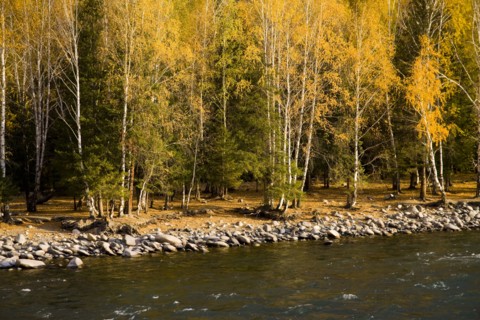 Xinjiang Province, Aletai,