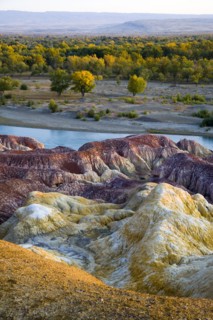 Xinjiang Wucaiwan