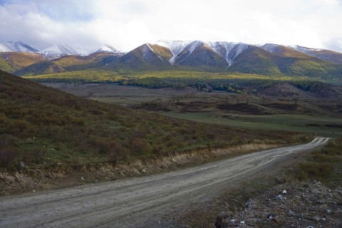 Altay Xinjiang, White Haba,