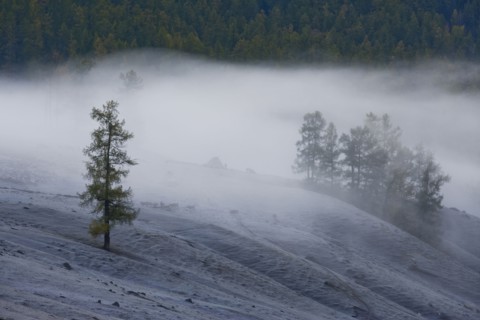 Altay Xinjiang, Kanas,