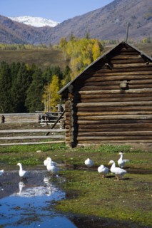 Xinjiang Province, Aletai,