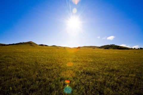 Bashang grassland in Inner Mongolia