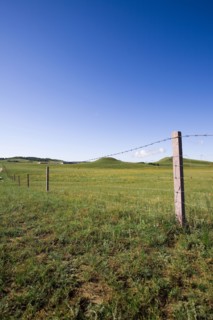 Bashang grassland in Inner Mongolia