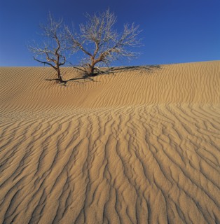 Xinjiang