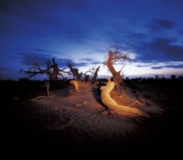 Xinjiang