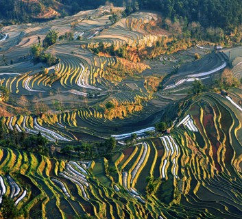 Yuanyang,Yunnan