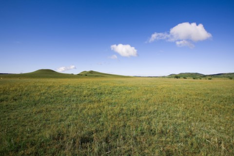 Bashang grassland in Inner Mongolia