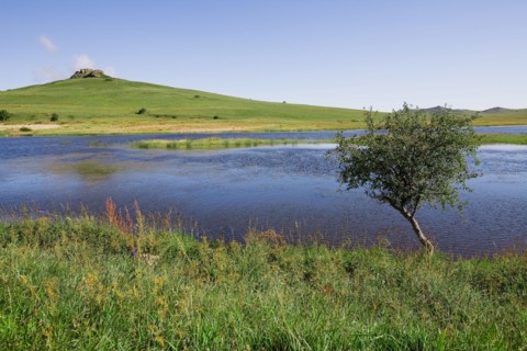 Bashang grassland in Inner Mongolia