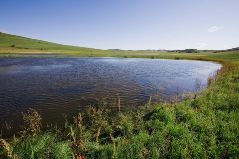 Bashang grassland in Inner Mongolia