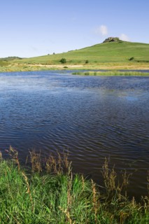 Bashang grassland in Inner Mongolia