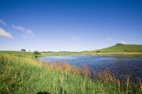 Bashang grassland in Inner Mongolia