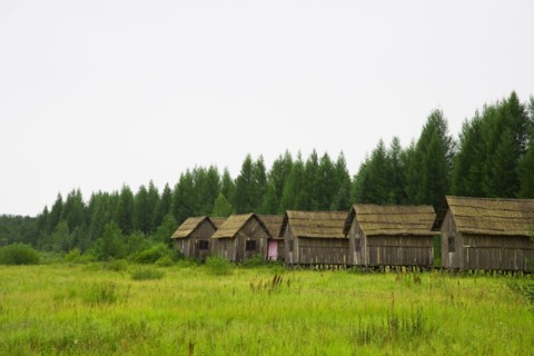 Bashang grassland in Hebei