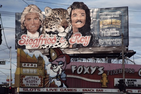 Cuchi White, États-Unis, 1983