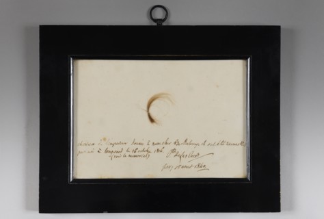 Mèche de cheveux de l'empereur Napoléon 1er