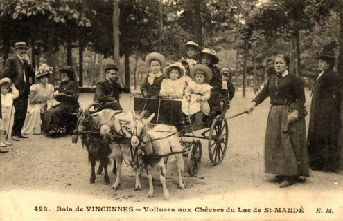 Bois de Vincennes, goat-cart at the lake of Saint-Mandé
Saint-Mandé