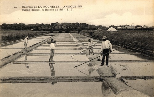 Salt harvest, salt marsh
Angoulins