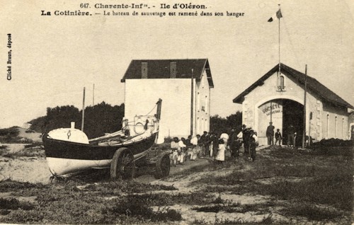 Cotinière