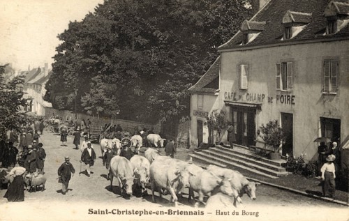 Flock of cows
SAINT-CHRISTOPHE-EN-BRIONNAIS