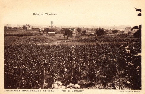 Thurissey