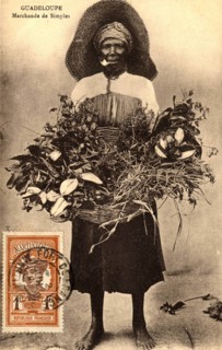 Guadeloupe,
Marchande de plantes