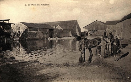 MOUCEAU