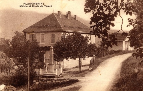PLANCHERINE