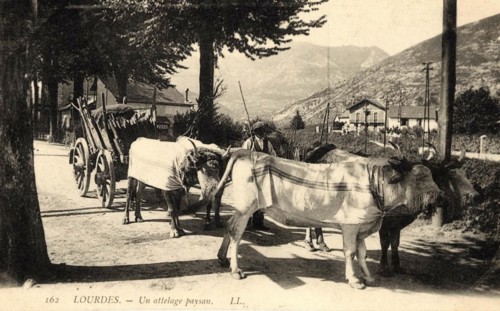 LOURDES