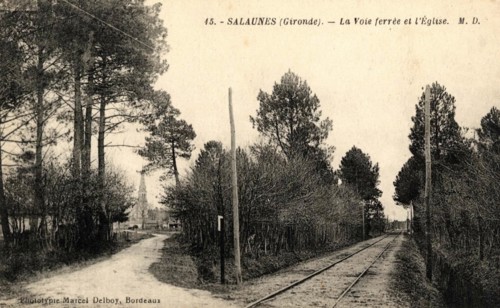 SALAUNES
